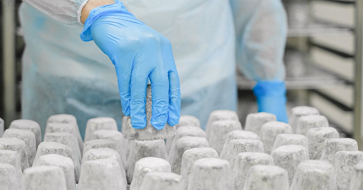 A historical overview of absorption refrigeration technology in food industry