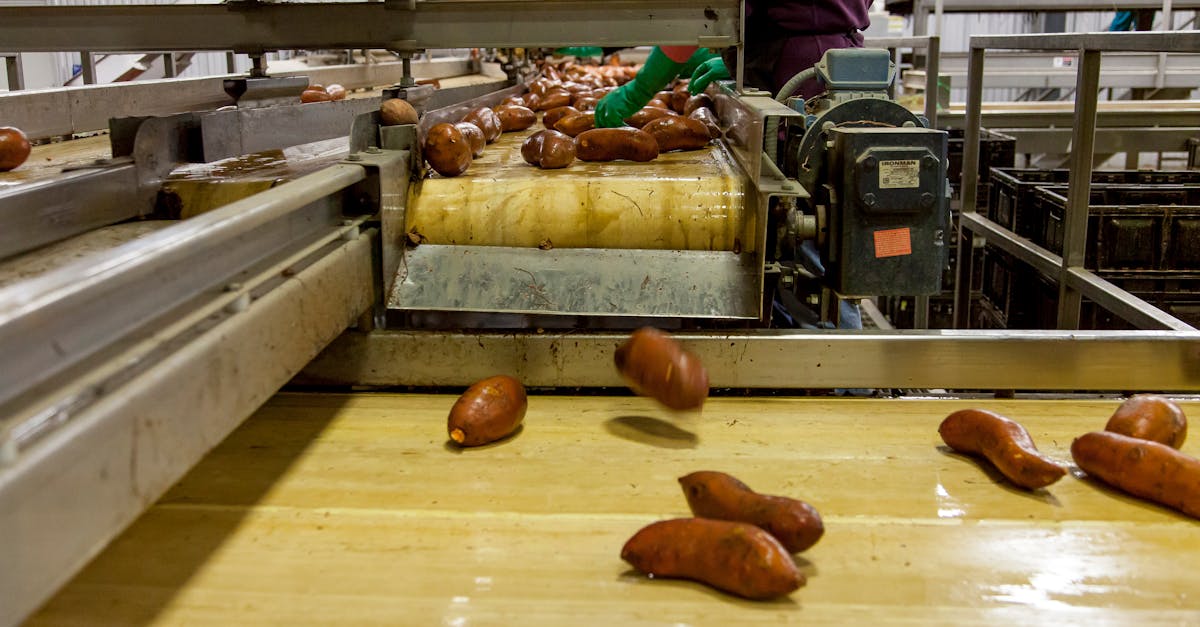 Roundup of the top advanced cooling techniques for fresh produce