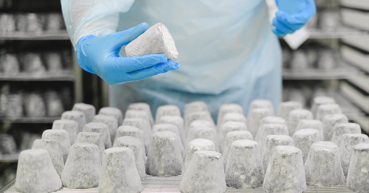 What to Consider When Implementing Refrigerated Transport Systems