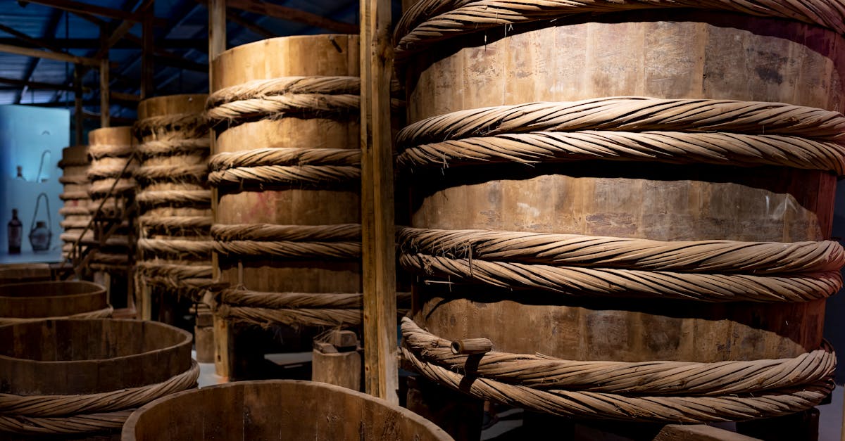 Why Active Temperature Control is Essential for Food Preservation