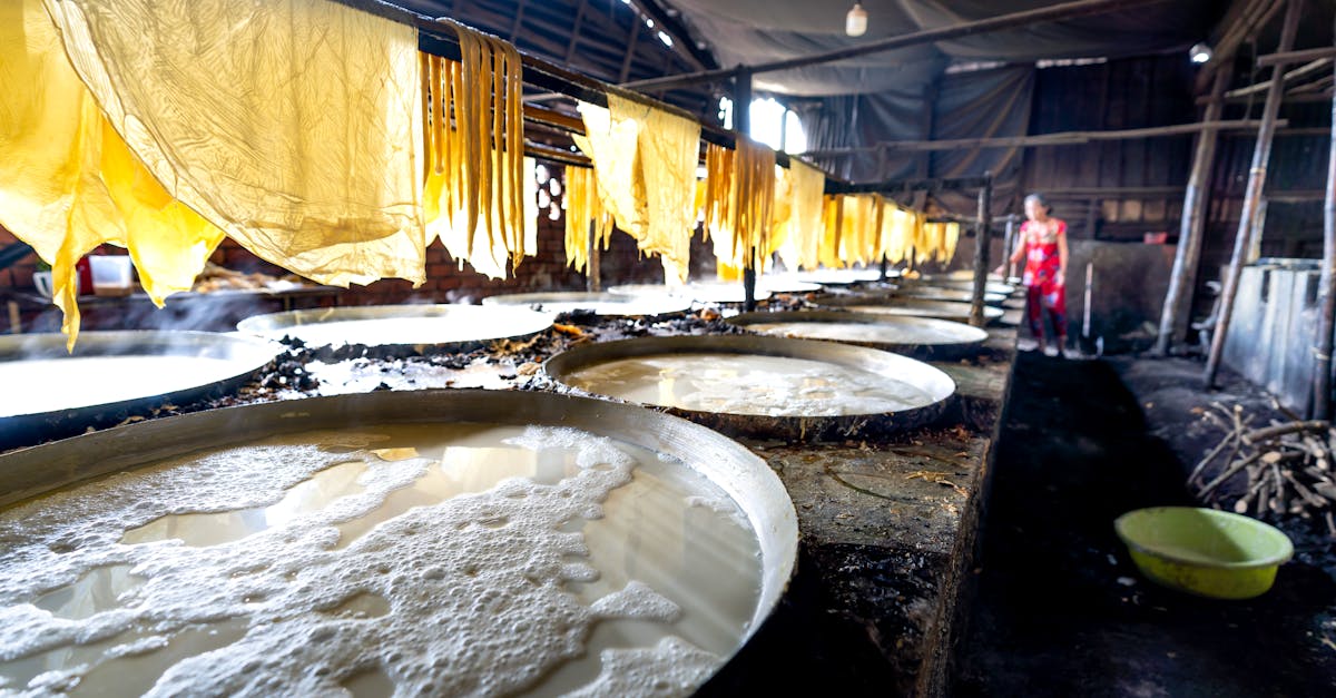 Why choosing absorption refrigeration systems can reduce operational costs