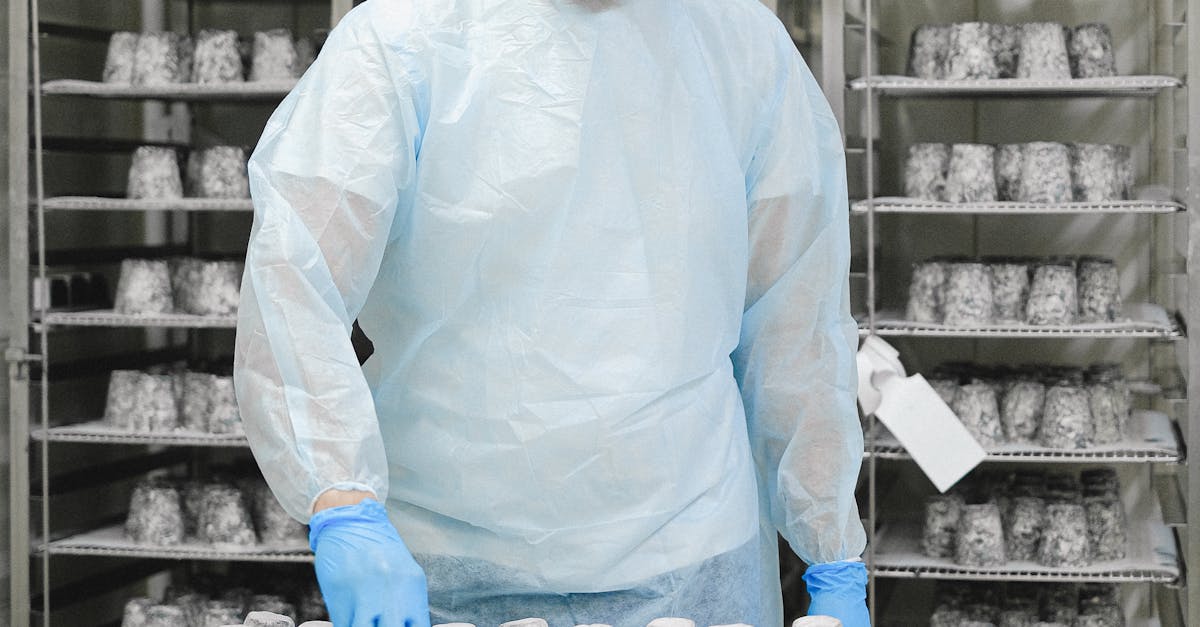 Why Temperature Control Matters in Refrigerated Transport